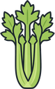 Celery