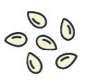 Sesame